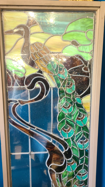 Peacock stained glass window