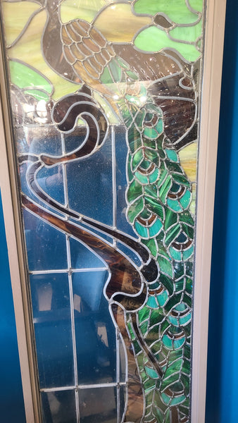 Peacock stained glass window